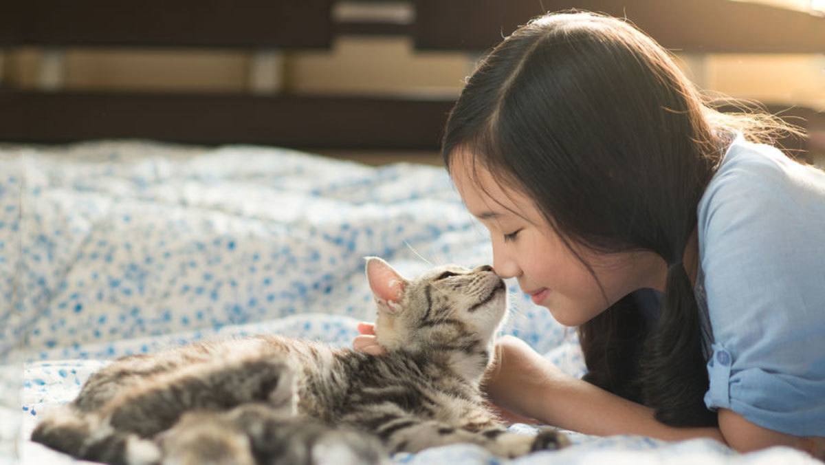 Using human-centered images like this stock photo can invoke emotion and draw the eye to certain email sections which will help boost your email marketing for your dental practice.